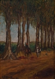 AgrandarImgen