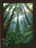 AgrandarImgen