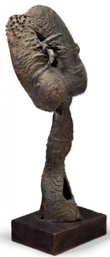 AgrandarImgen