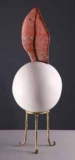 AgrandarImgen