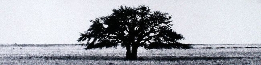 AgrandarImgen