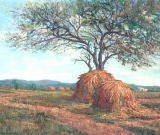 AgrandarImgen