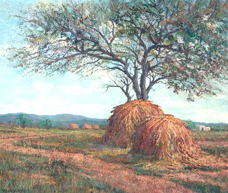 AgrandarImgen