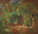 AgrandarImgen