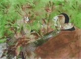AgrandarImgen