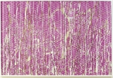 AgrandarImgen