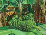 AgrandarImgen