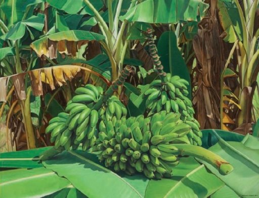 AgrandarImgen