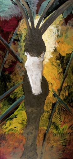 AgrandarImgen