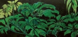 AgrandarImgen