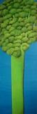 AgrandarImgen
