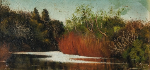 AgrandarImgen