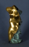 AgrandarImgen
