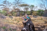 AgrandarImgen