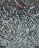 AgrandarImgen