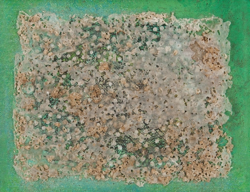 AgrandarImgen