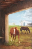 AgrandarImgen