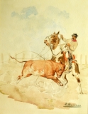 AgrandarImgen