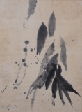 AgrandarImgen