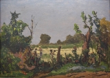 AgrandarImgen