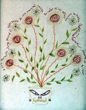 AgrandarImgen