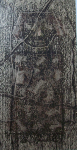 AgrandarImgen