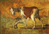 AgrandarImgen