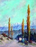 AgrandarImgen