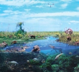 AgrandarImgen