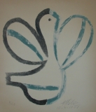 AgrandarImgen