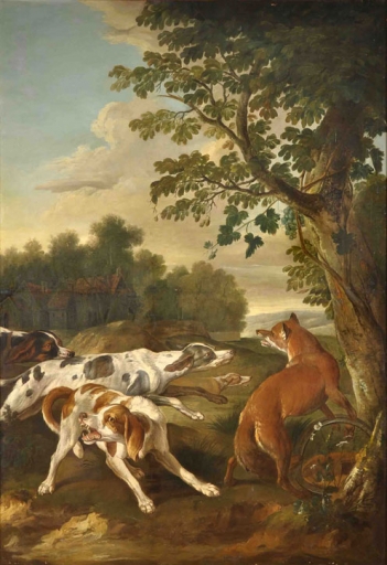 AgrandarImgen