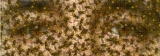 AgrandarImgen