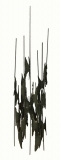 AgrandarImgen