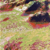 AgrandarImgen