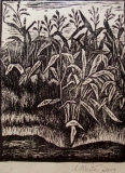 AgrandarImgen