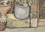 AgrandarImgen