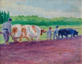 AgrandarImgen