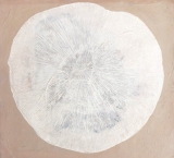 AgrandarImgen