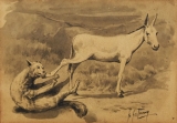 AgrandarImgen