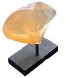 AgrandarImgen