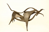 AgrandarImgen