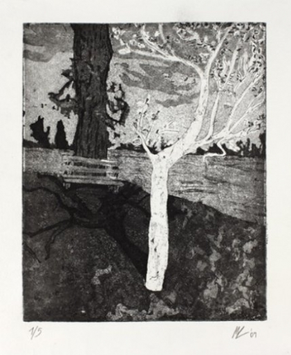 AgrandarImgen