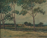 AgrandarImgen