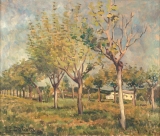 AgrandarImgen
