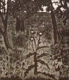 AgrandarImgen