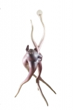 AgrandarImgen