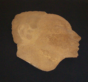 AgrandarImgen
