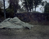 AgrandarImgen