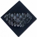 AgrandarImgen