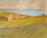 AgrandarImgen